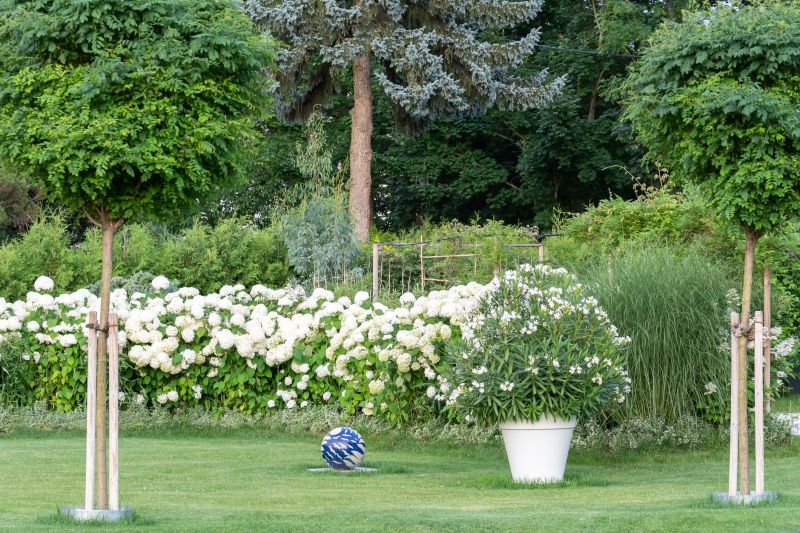 Lush Garden Landscape