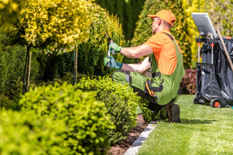 Experienced Landscape Contractors