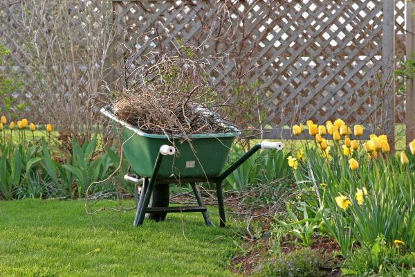 Flower Bed Cleanup Service in Bluffton