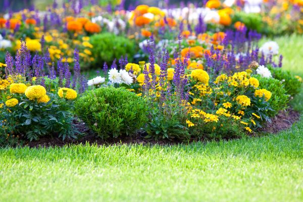 Flower Bed Maintenance in Bluffton