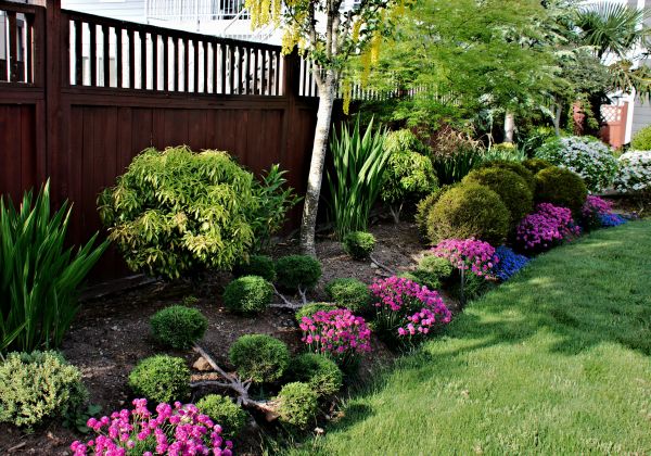 Garden Care Service in Bluffton