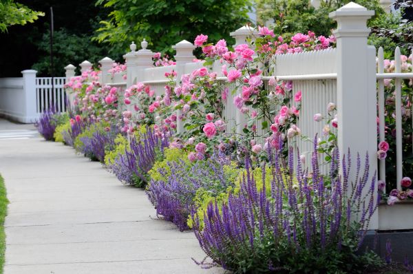 Garden Handyman Service in Bluffton