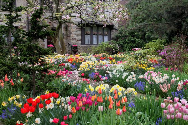Garden Maintenance Service in Bluffton