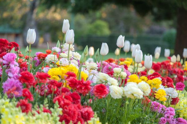 Gardening Service in Bluffton