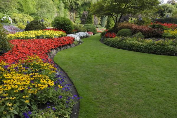 Landscaping Maintenance in Bluffton
