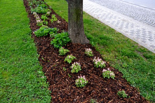 Mulch Replacement Service in Bluffton