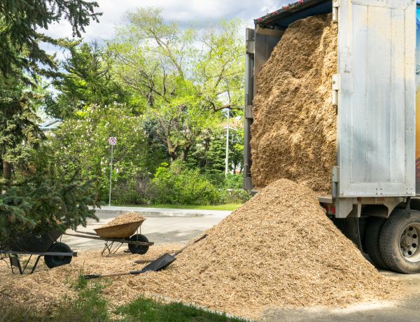 Wood Chips Delivery in Bluffton