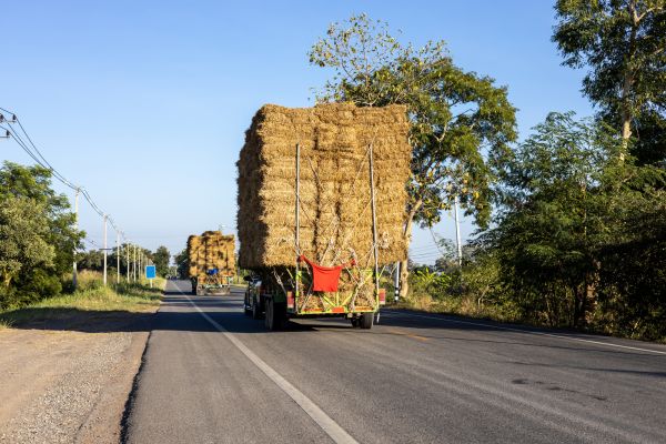 Pine Straw Delivery in Bluffton