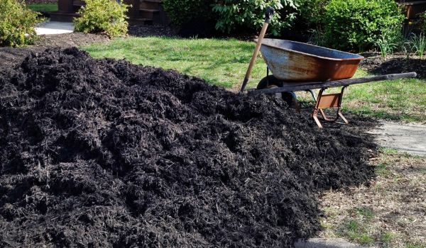 Black Mulch Delivery in Bluffton