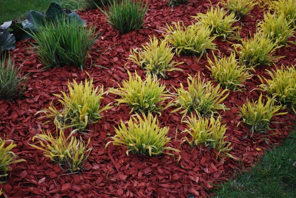 Mulch Landscaping in Bluffton