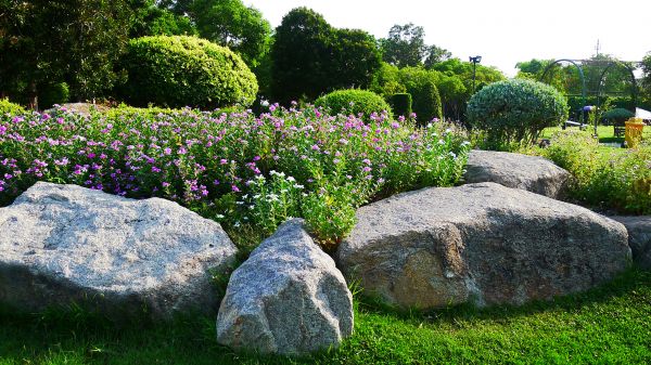 Boulder Landscaping in Bluffton