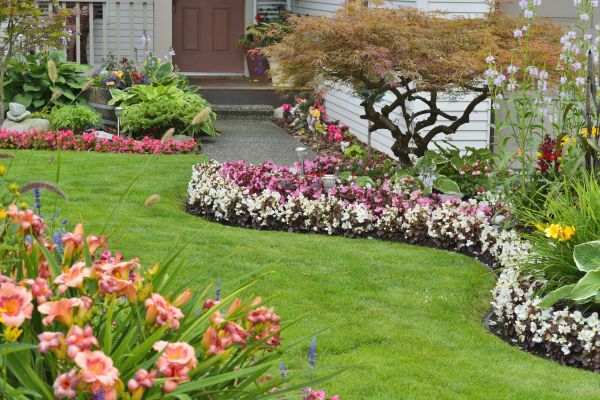 Perennial Landscaping in Bluffton