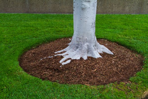 Brown Mulch Installation in Bluffton