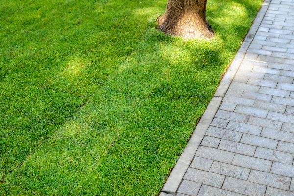 Border Stone Installation in Bluffton