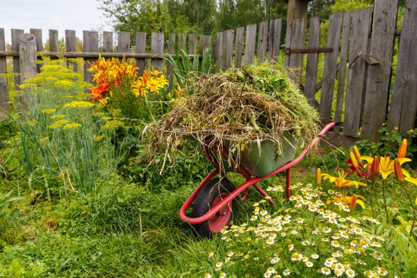 Garden Cleanup Service in Bluffton