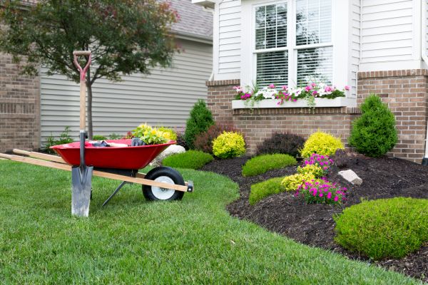 Tree And Shrub Planting in Bluffton