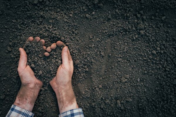 Soil Installation in Bluffton