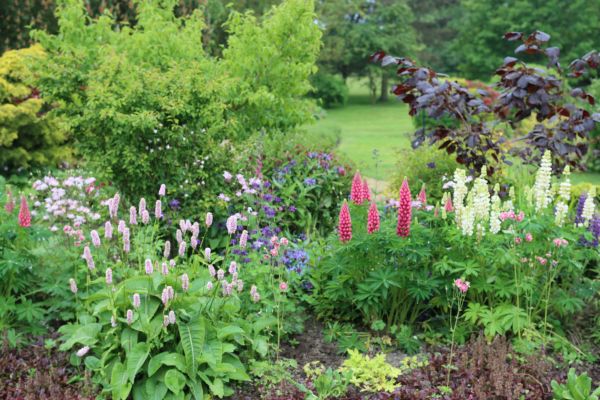 Flower Bed Planting in Bluffton