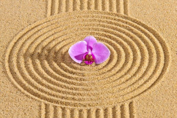 Sand Garden Landscaping in Bluffton