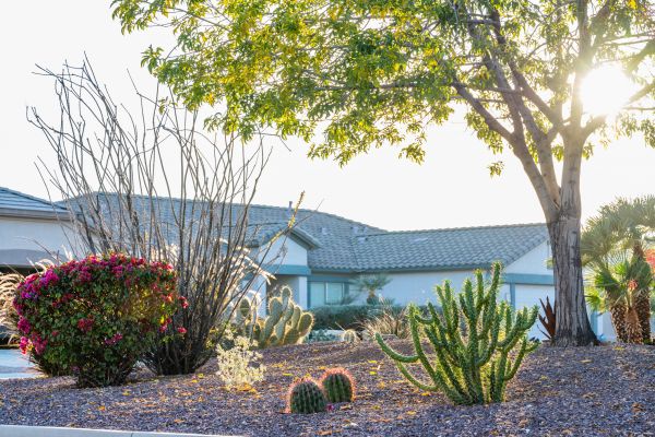Dryscape Landscaping in Bluffton