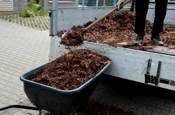 Cypress Mulch Delivery in Bluffton