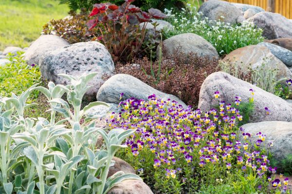 Rock Garden Installation in Bluffton