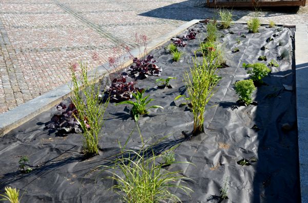 Landscape Fabric Installation in Bluffton