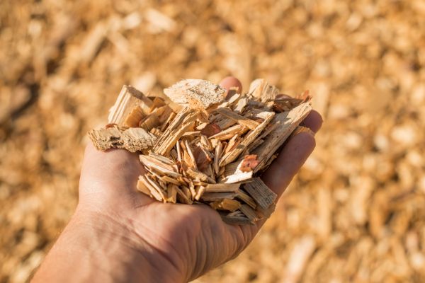 Wood Chips Spreading in Bluffton