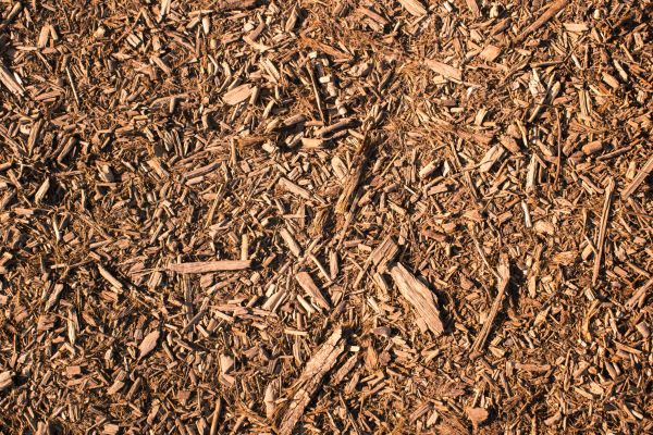 Wood Chips Removal in Bluffton