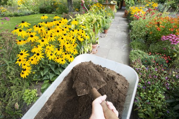 Topsoil Replacement in Bluffton