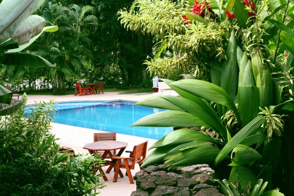 Pool Area Landscaping in Bluffton