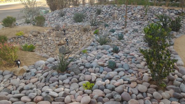 Yard Xeriscaping in Bluffton