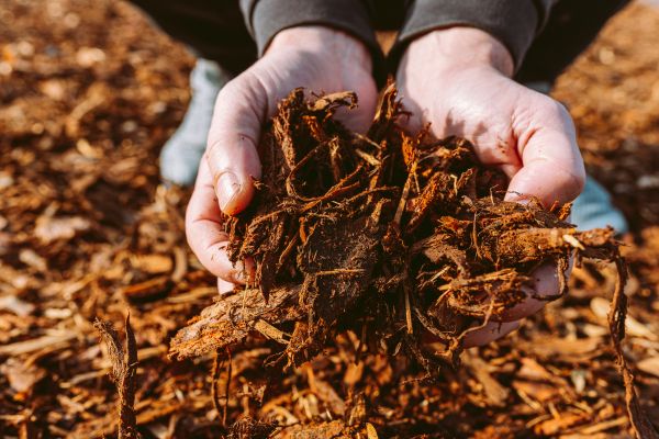 Bark Chips Delivery in Bluffton