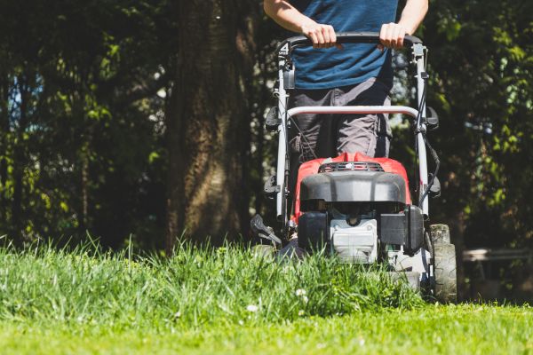 Garden Trimming Service in Bluffton
