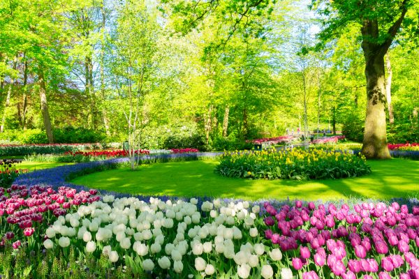 Flower Landscaping in Bluffton