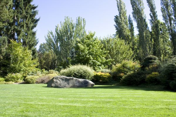 Yard Enlargement in Bluffton