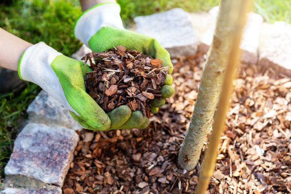 Tree Bark Delivery in Bluffton