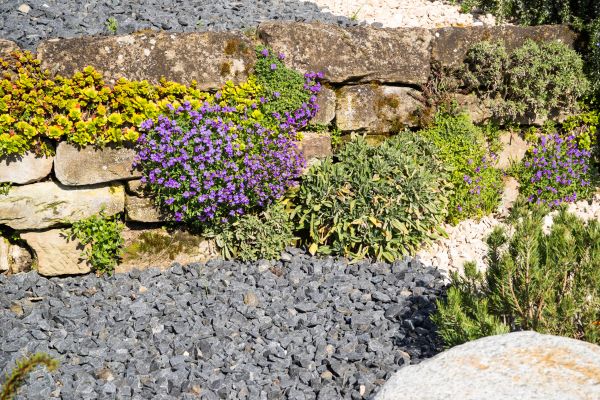 Landscaping Rocks Installation in Bluffton