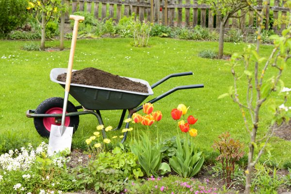 Spring Yard Renovation in Bluffton