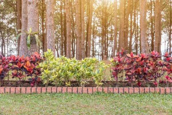 Small Garden Landscaping in Bluffton