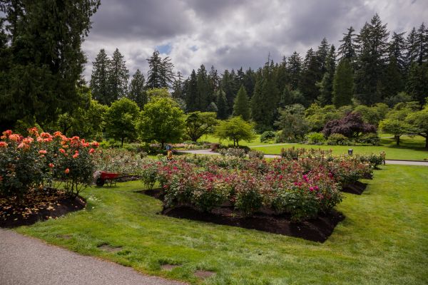 Flower Garden Landscaping in Bluffton