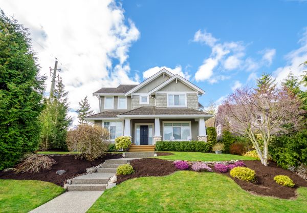 Landscaping Replacement in Bluffton