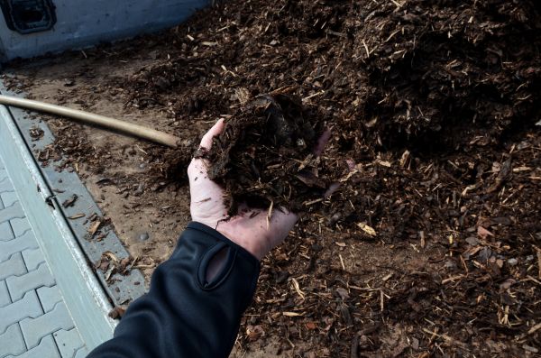 Condo Mulching in Bluffton